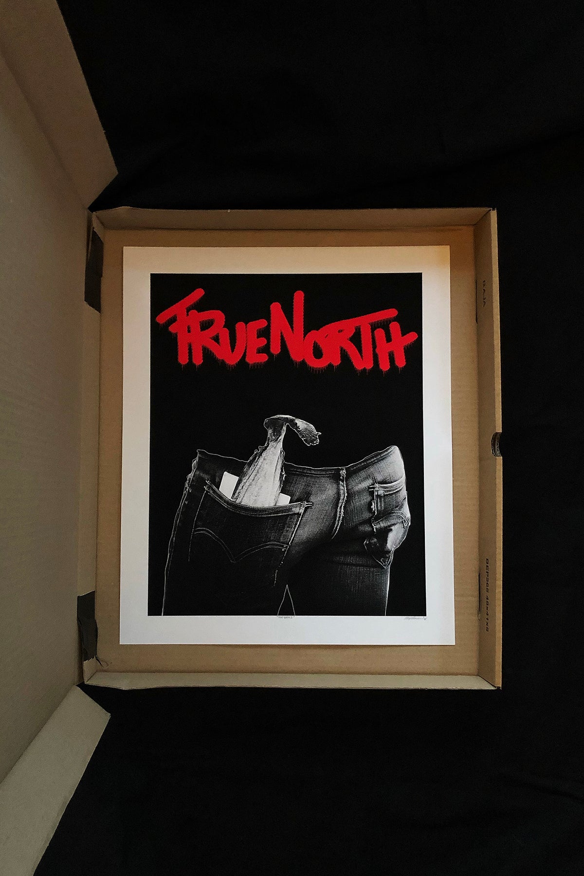 "TrueNorth I"