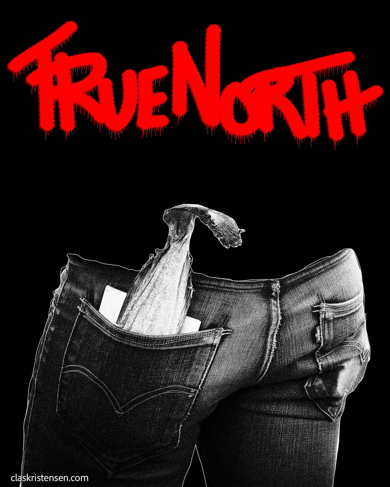 TrueNorth | Clas Kristensen
