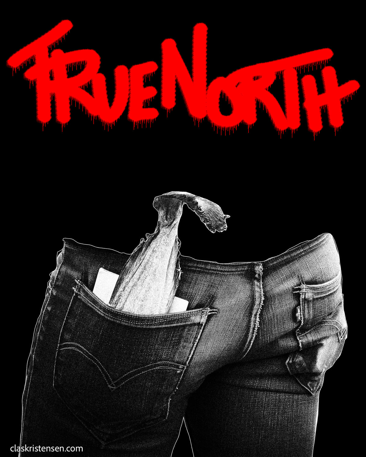 "TrueNorth I"